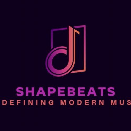 ShapeBeats track ghost producer